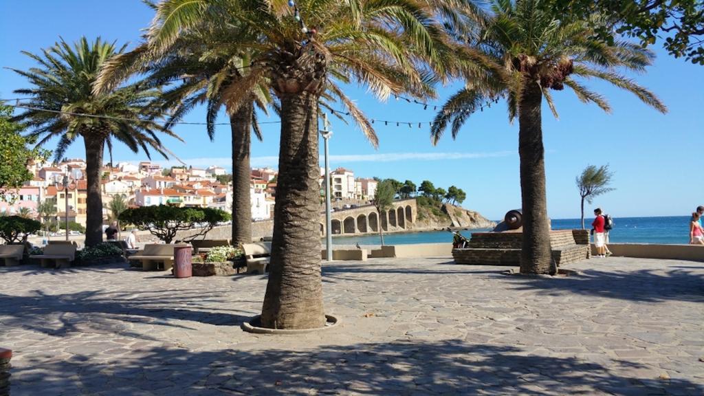 Studio "Les Roches Blanches" - Vue Mer & Vignes Banyuls-sur-Mer Ngoại thất bức ảnh